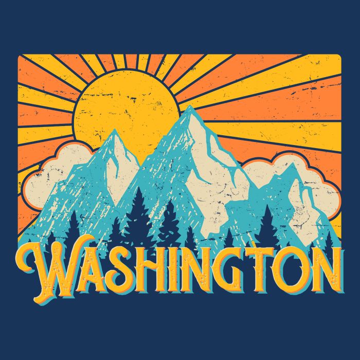 Vintage Retro Washington Sunshine Mountains Toddler T-Shirt