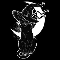 Vintage Scary Halloween Black Cat Moon Witch Hoodie