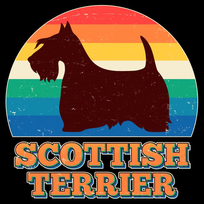 Vintage Scottish Terrier  Poster