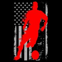 Vintage Soccer American Flag USA  T-Shirt