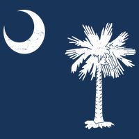 Vintage South Carolina Flag Palmetto Moon  Button