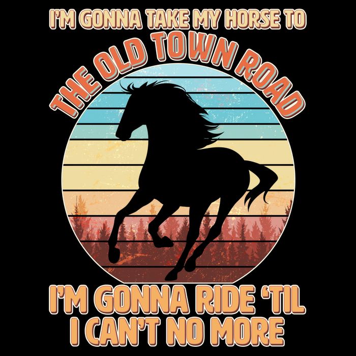 Vintage Take My Horse To The Old Town Road Toddler T-Shirt