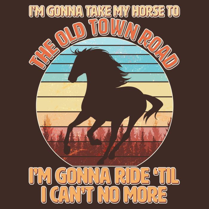 Vintage Take My Horse To The Old Town Road T-Shirt