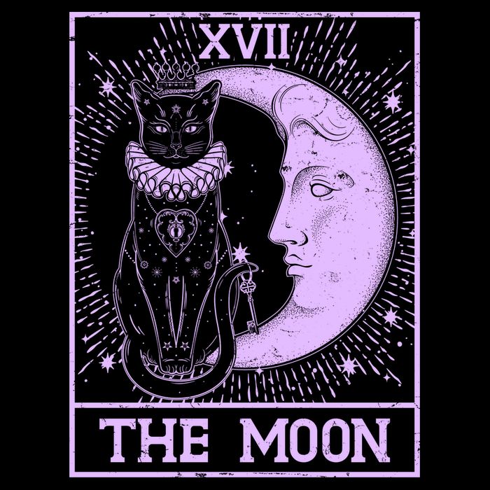 Vintage Tarot Card XVII The Moon Black Cat Flatbill Hat