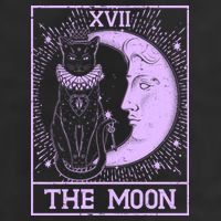 Vintage Tarot Card XVII The Moon Black Cat Hat
