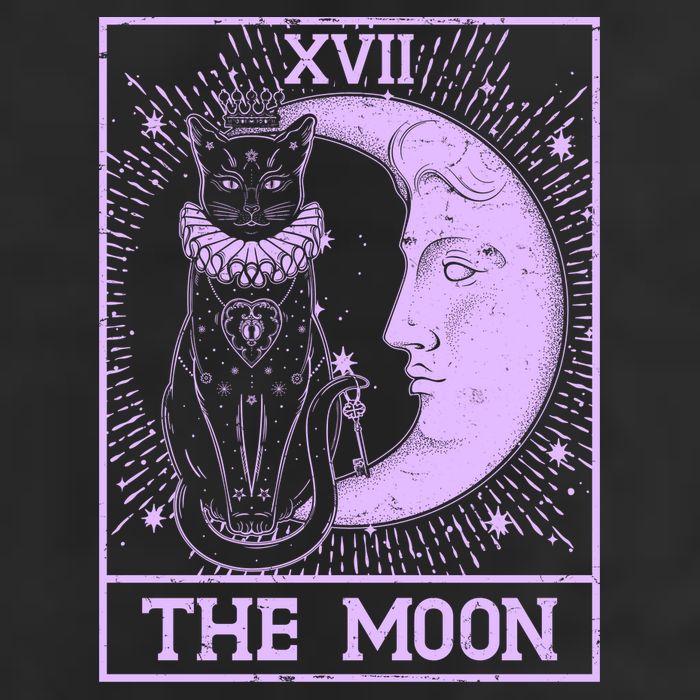 Vintage Tarot Card XVII The Moon Black Cat Hat