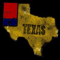 Vintage Texas Logo Performance Shirt