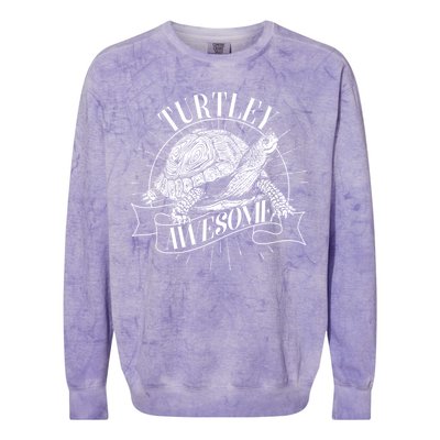 Vintage Turtley Awesome Colorblast Crewneck Sweatshirt