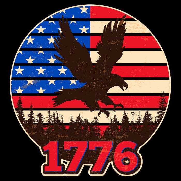 Vintage USA 1776 Emblem Toddler T-Shirt