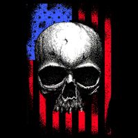Vintage USA American Flag Toddler T-Shirt