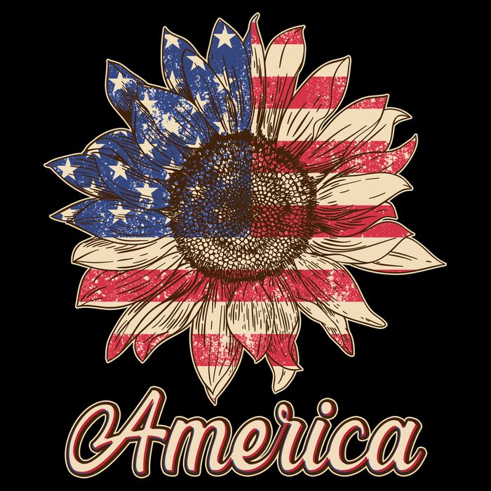 Vintage USA American Sunflower Apron