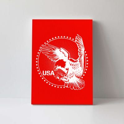 Vintage USA Star Eagle Canvas