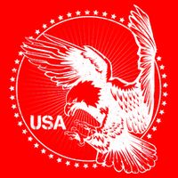 Vintage USA Star Eagle Flatbill Hat