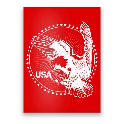 Vintage USA Star Eagle Poster
