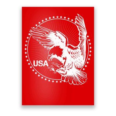 Vintage USA Star Eagle Poster