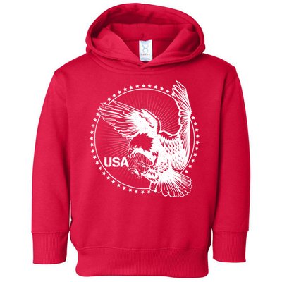 Vintage USA Star Eagle Toddler Hoodie