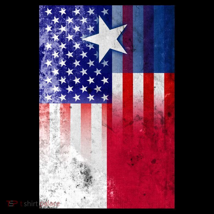 Vintage USA Texas American Flag Womens T-Shirt