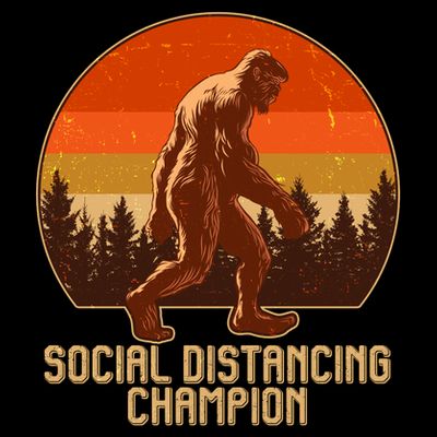 Vintage Wilderness Sunset Sasquatch Social Distancing Champion  T-Shirt