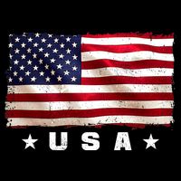 Vintage Worn USA Flag Button