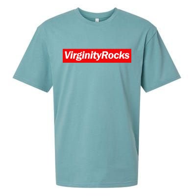 Virginity Rocks Box Logo Sueded Cloud Jersey T-Shirt