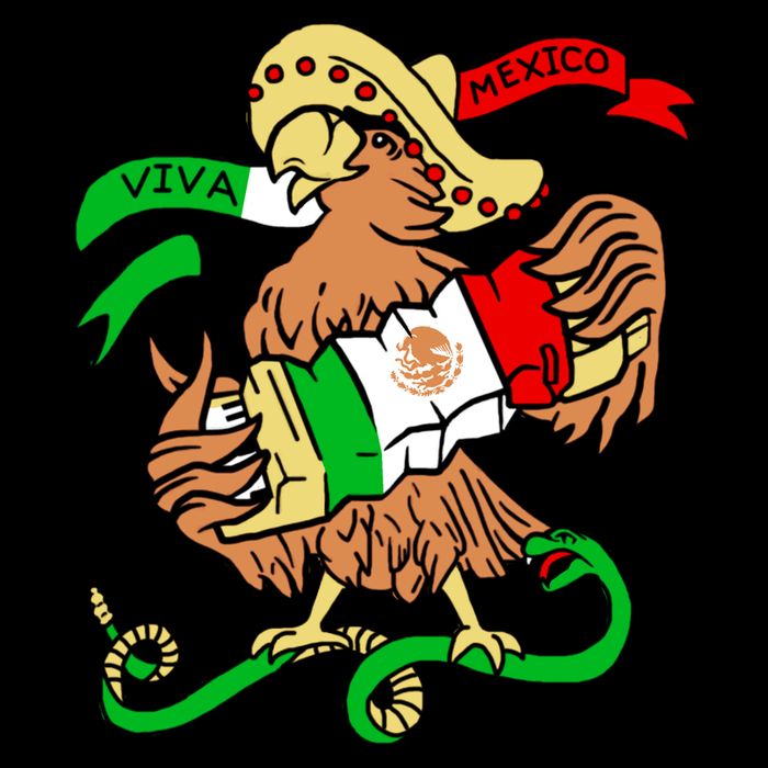 Viva Mexico T-Shirt
