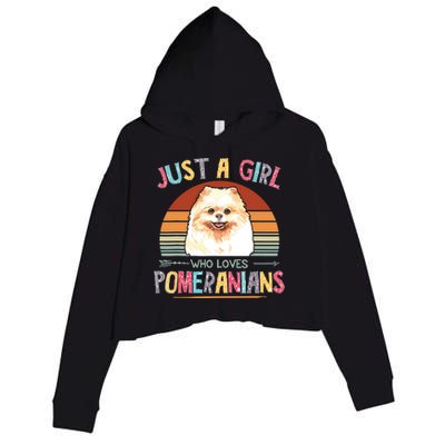 Vintage Just A Girl Who Loves Pomeranians Dog Lovers Gift Crop Fleece Hoodie