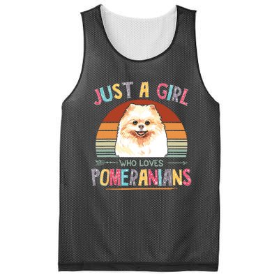 Vintage Just A Girl Who Loves Pomeranians Dog Lovers Gift Mesh Reversible Basketball Jersey Tank