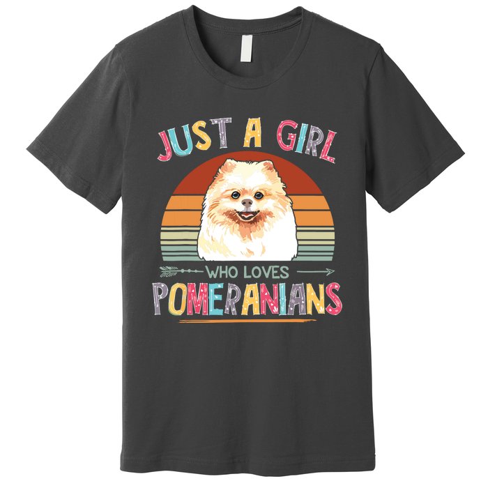 Vintage Just A Girl Who Loves Pomeranians Dog Lovers Gift Premium T-Shirt