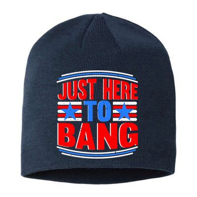 Vintage Just Here To Bang Funny 4th Of July USA Merica America Sustainable Beanie