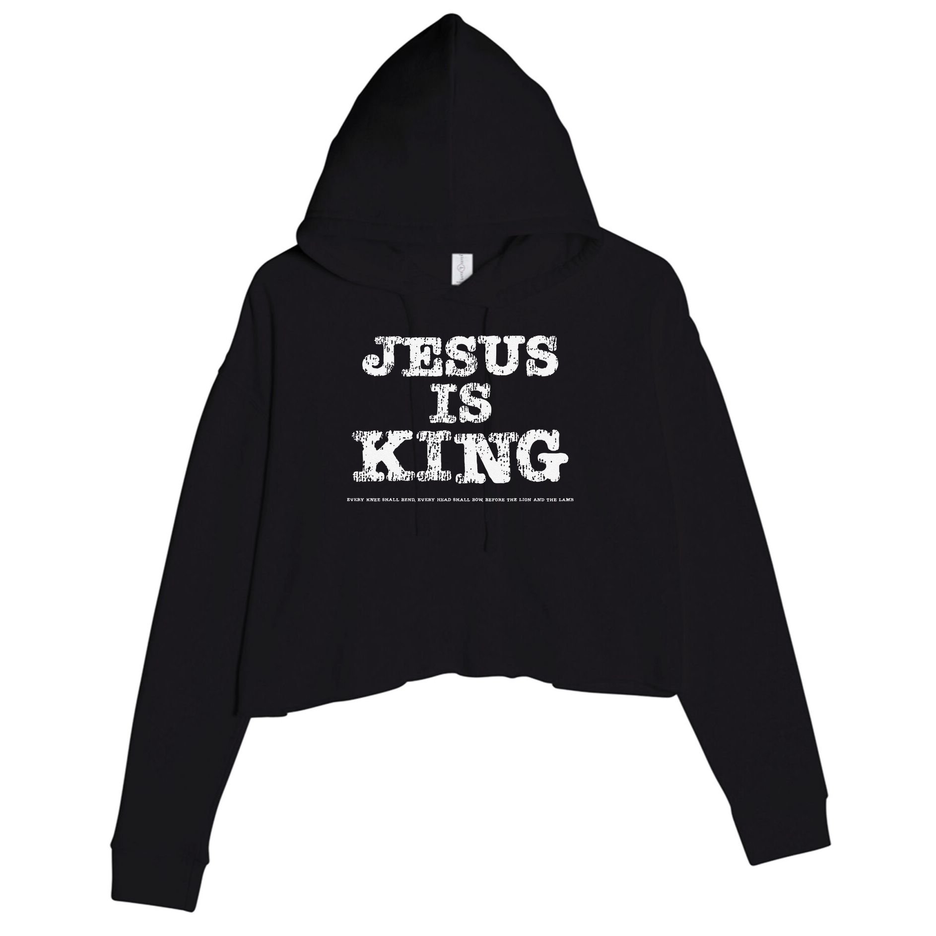 Vintage Jesus Is King Every Knee Shall Bend Head Shall Bow Crop Fleece Hoodie