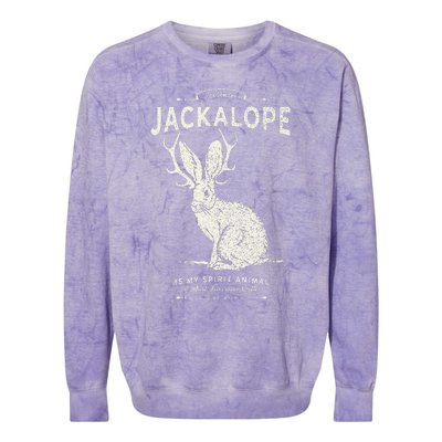 Vintage Jackalope Spirit Animal Mythical Critter Colorblast Crewneck Sweatshirt