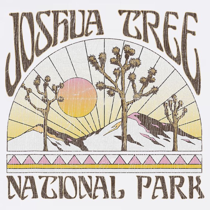 Vintage Joshua Tree National Park Retro Outdoor Camping Hike Toddler T-Shirt