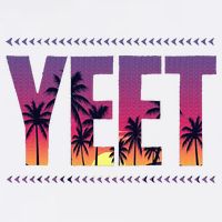 Vintage J.E.Y Uso Yeet USA-Made Doggie Bandana