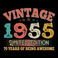 Vintage Limited Edition 1955 70 Years Of Being Awesome Birthday Womens T-Shirt