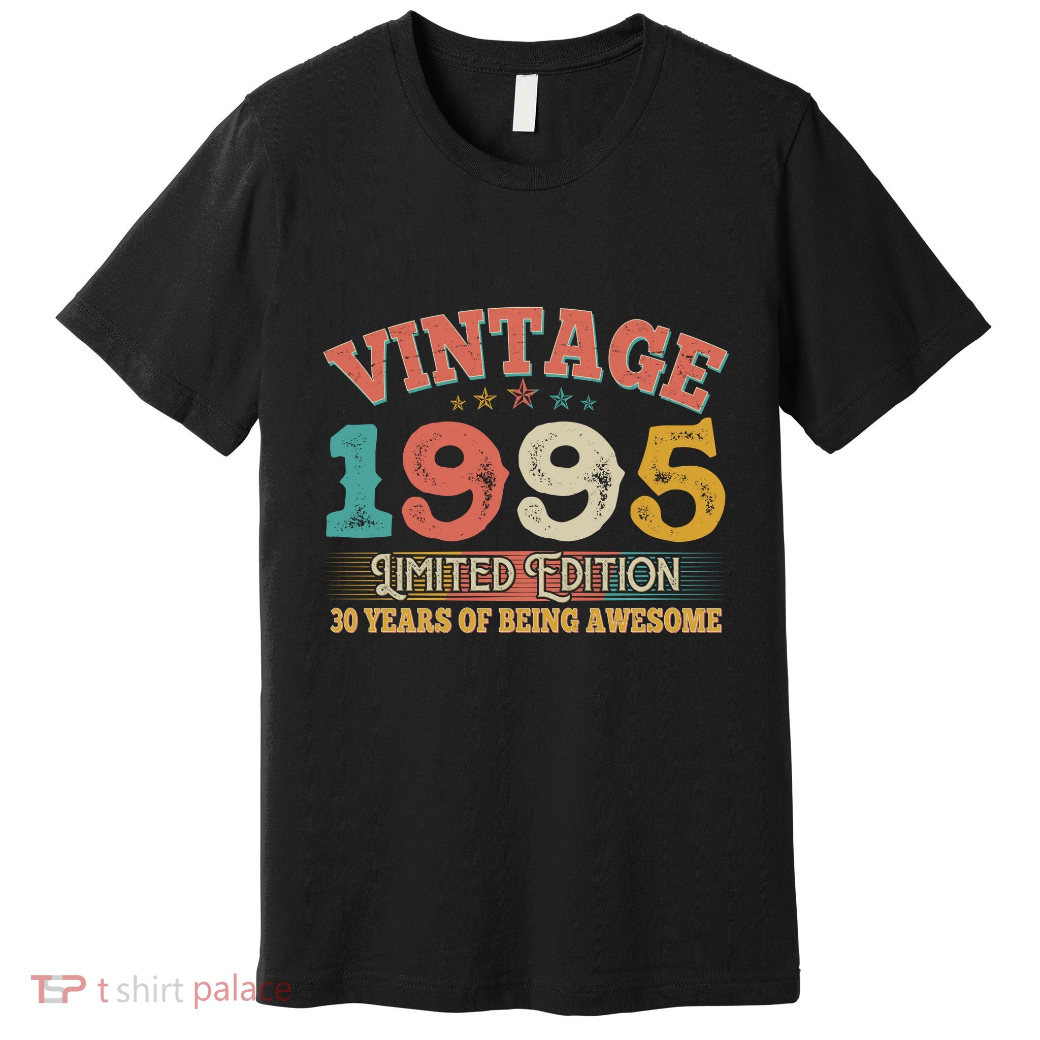 Vintage Limited Edition 1995 30 Years Of Being Awesome Birthday Premium T-Shirt