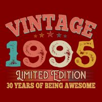Vintage Limited Edition 1995 30 Years Of Being Awesome Birthday Hoodie