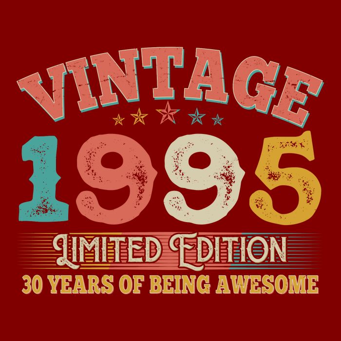 Vintage Limited Edition 1995 30 Years Of Being Awesome Birthday Hoodie