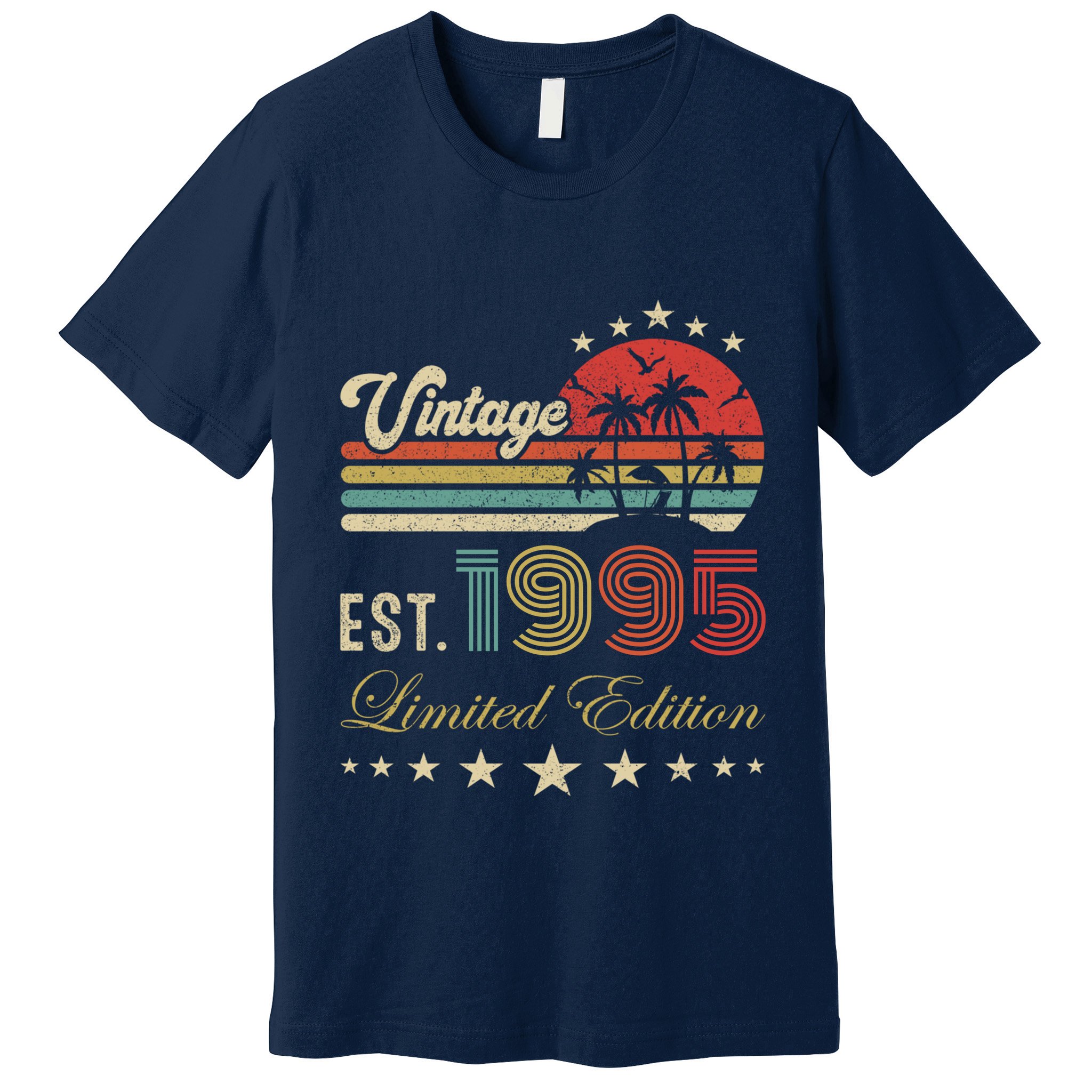 Vintage Limited Edition 30 Birthday Born 1995 Premium T-Shirt