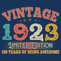 Vintage Limited Edition 1923 100 Years Of Being Awesome Birthday Hoodie