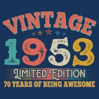 Vintage Limited Edition 1953 70 Years Of Being Awesome Birthday T-Shirt