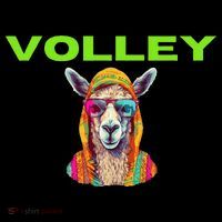 Volley Llama Funny Pickleball Flatbill Hat