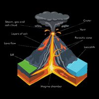 Volcano Lover Geology Teacher Funny Geologist 16 in Basic Backpack