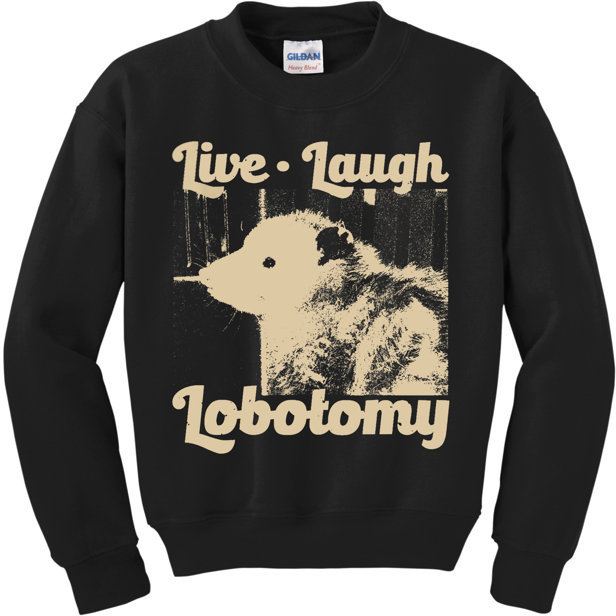 Vintage Live Laugh Lobotomy Lobotomies Retro Opossum Lovers Kids Sweatshirt