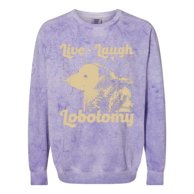 Vintage Live Laugh Lobotomy Lobotomies Retro Opossum Lovers Colorblast Crewneck Sweatshirt