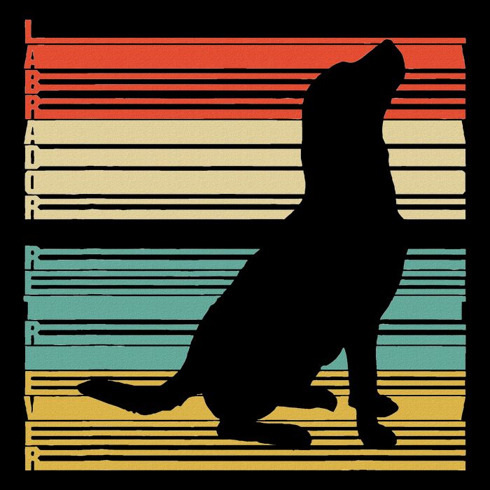 Vintage Labrador Retriever Toddler Hoodie