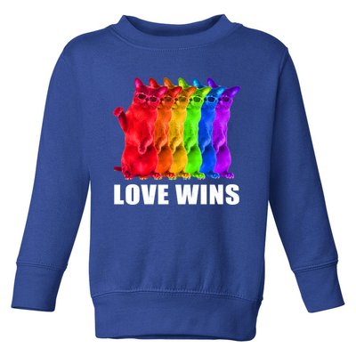 Vintage Love Win Rainbow Cat Lover Pride Lesbian Gay Lgbtq Gift Toddler Sweatshirt