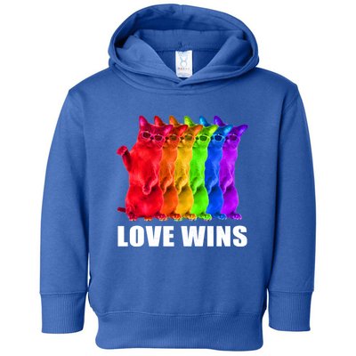 Vintage Love Win Rainbow Cat Lover Pride Lesbian Gay Lgbtq Gift Toddler Hoodie