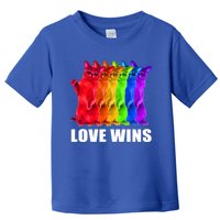 Vintage Love Win Rainbow Cat Lover Pride Lesbian Gay Lgbtq Gift Toddler T-Shirt