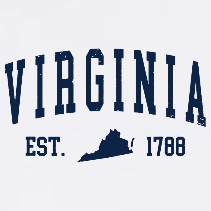 Virginia Map 1788 Vintage Souvenirs Virginia Button