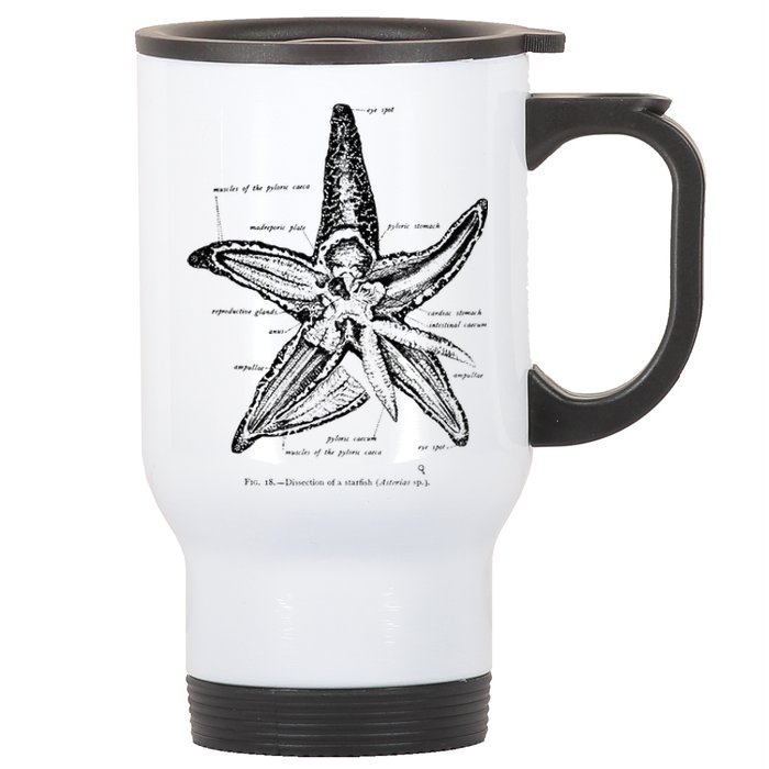 Vintage Marine Biology Starfish Sea Star Tee Stainless Steel Travel Mug